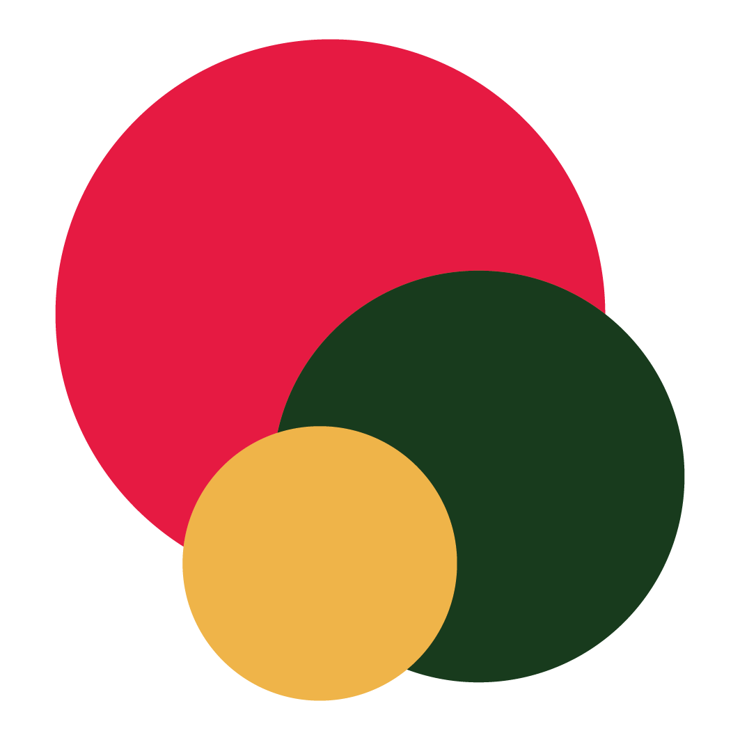 Favicon de Diana Sarkanj Praticienne de Shiatsu Yoga et Do-In en Normandie