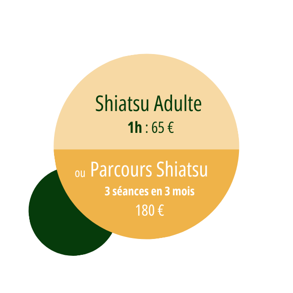 tarifs séances shiatsu adulte Diana Petit Sarkanj Caen